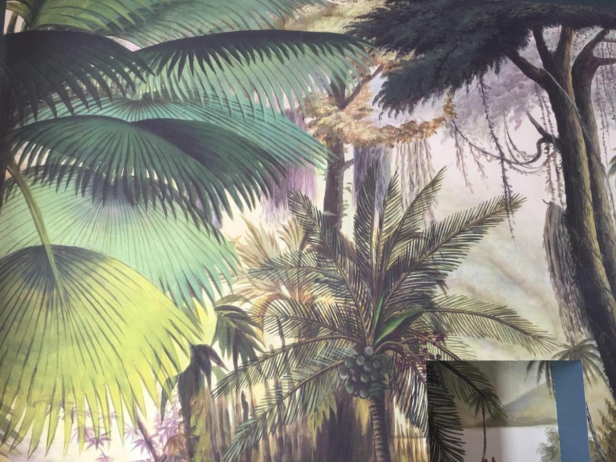 Appartement Cosy A 10 Metres Du Port De كاسيس المظهر الخارجي الصورة
